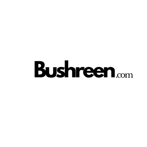 BUshreen.com website logo